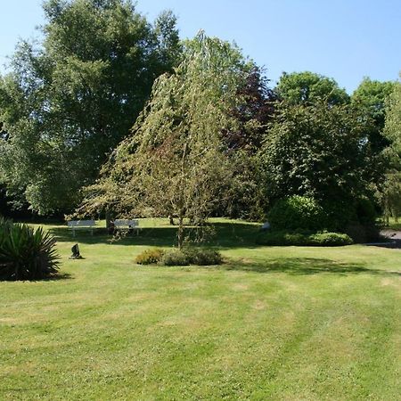 Kathleens Country House Lower Coolcorcoran المظهر الخارجي الصورة