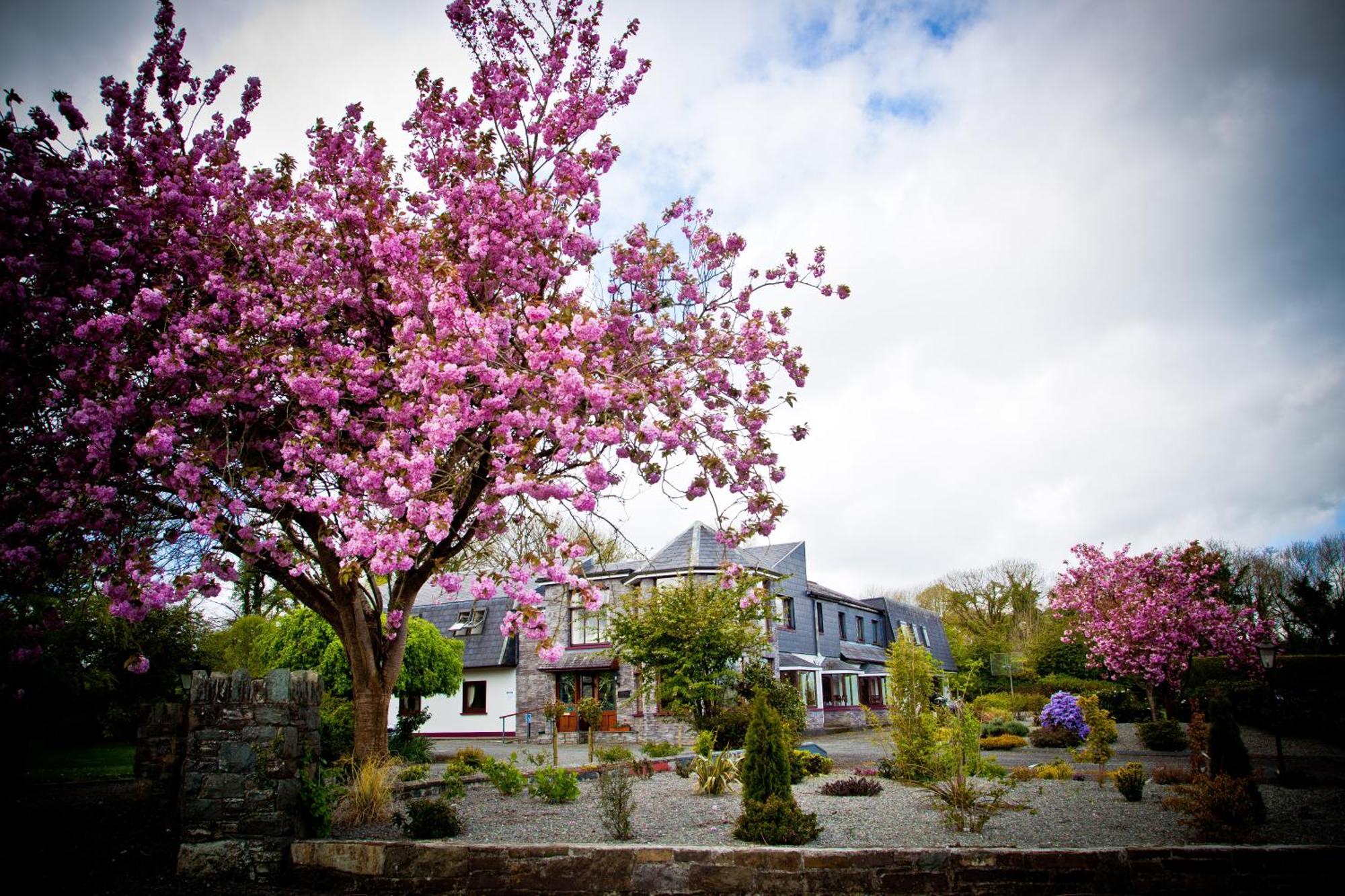Kathleens Country House Lower Coolcorcoran المظهر الخارجي الصورة