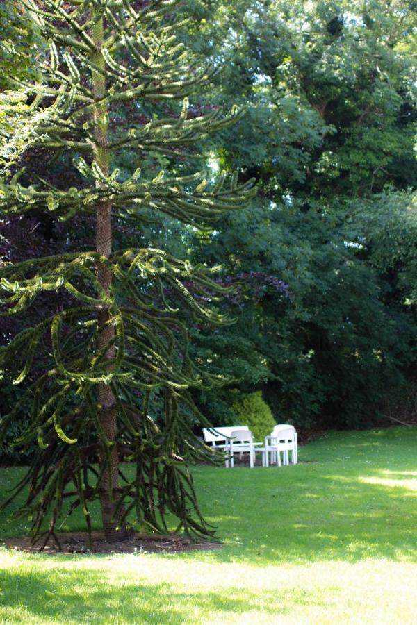 Kathleens Country House Lower Coolcorcoran المظهر الخارجي الصورة